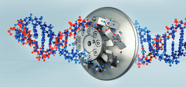 eccon-pelletizing econ granuleren zit in het dna