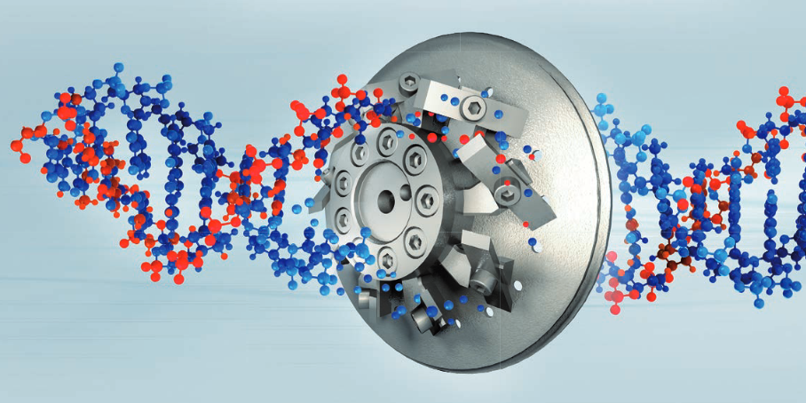 eccon-pelletizing econ granuleren zit in het dna