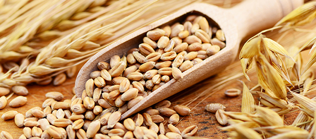 Image foodproduction