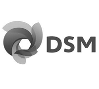 dsm